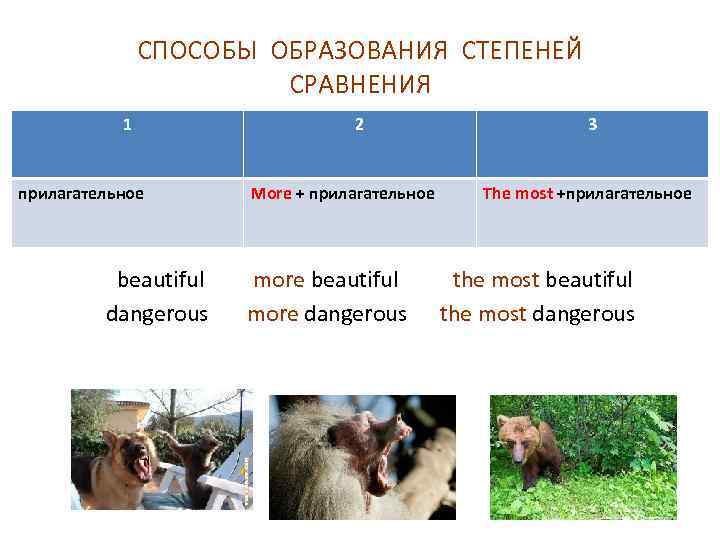 СПОСОБЫ ОБРАЗОВАНИЯ СТЕПЕНЕЙ СРАВНЕНИЯ 1 прилагательное 2 2 СПОСОБ : More + прилагательное 3