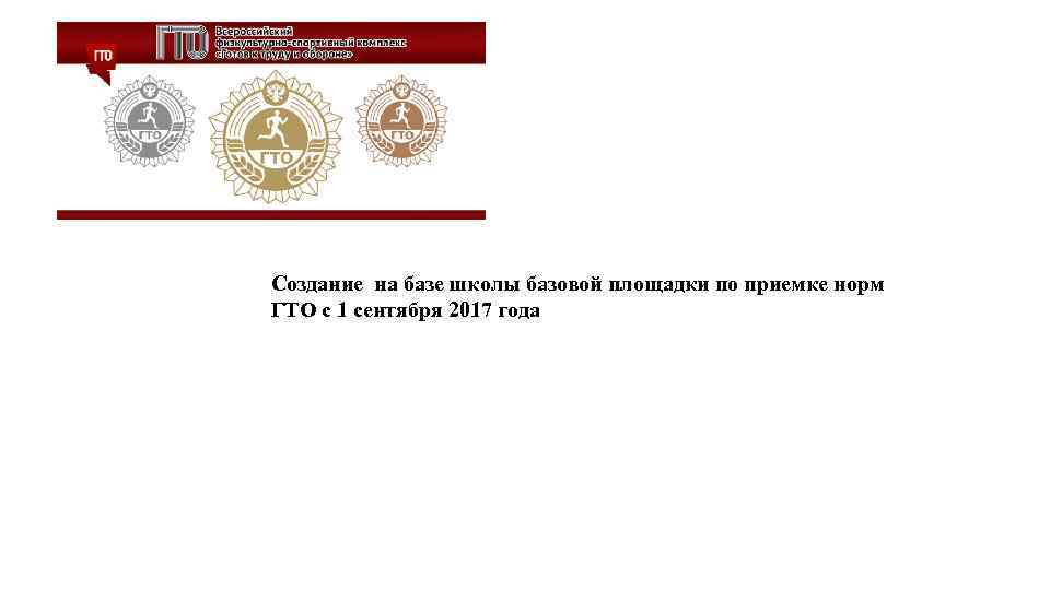 Создание на базе школы базовой площадки по приемке норм ГТО с 1 сентября 2017