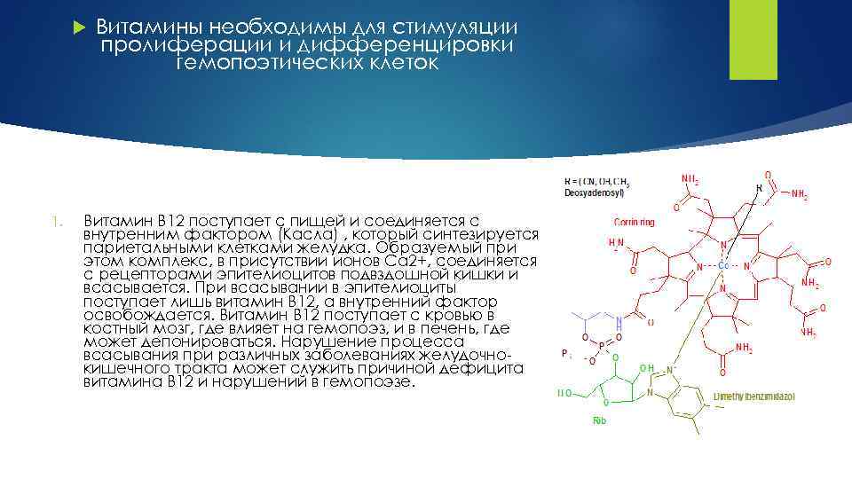  1. Витамины необходимы для стимуляции пролиферации и дифференцировки гемопоэтических клеток Витамин В 12