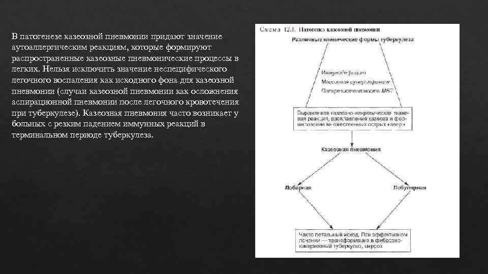 В патогенезе казеозной пневмонии придают значение аутоаллергическим реакциям, которые формируют распространенные казеозные пневмонические процессы