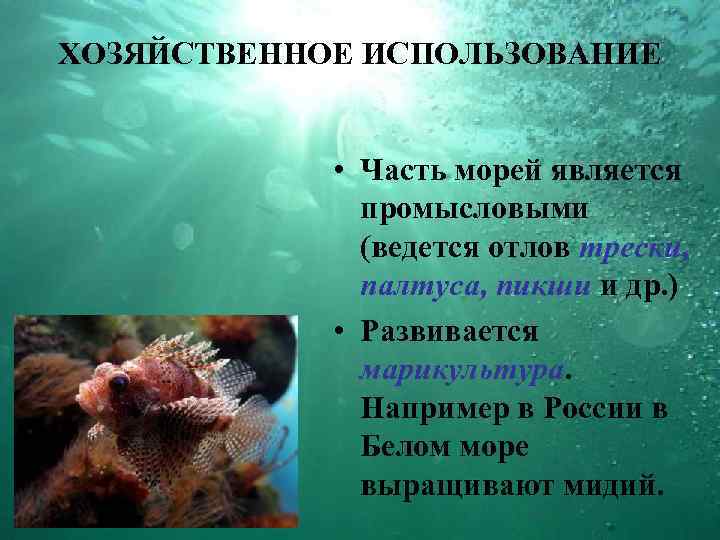 ХОЗЯЙСТВЕННОЕ ИСПОЛЬЗОВАНИЕ • Часть морей является промысловыми (ведется отлов трески, палтуса, пикши и др.