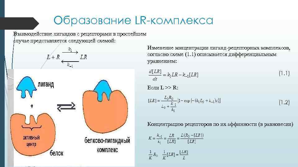 Образование LR-комплекса Взаимодействие лигандов с рецепторами в простейшем случае представляется следующей схемой: Изменение концентрации