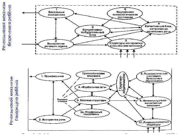 Речеязыковой механизм Говорящего ребёнка Речеязыковой механизм безречевого ребёнка 
