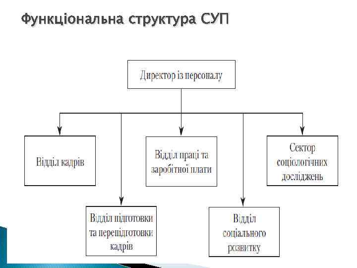 Функціональна структура СУП 