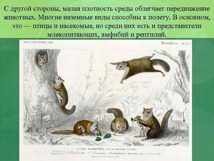 С другой стороны, малая плотность среды облегчает передвижение животных. Многие наземные виды способны к