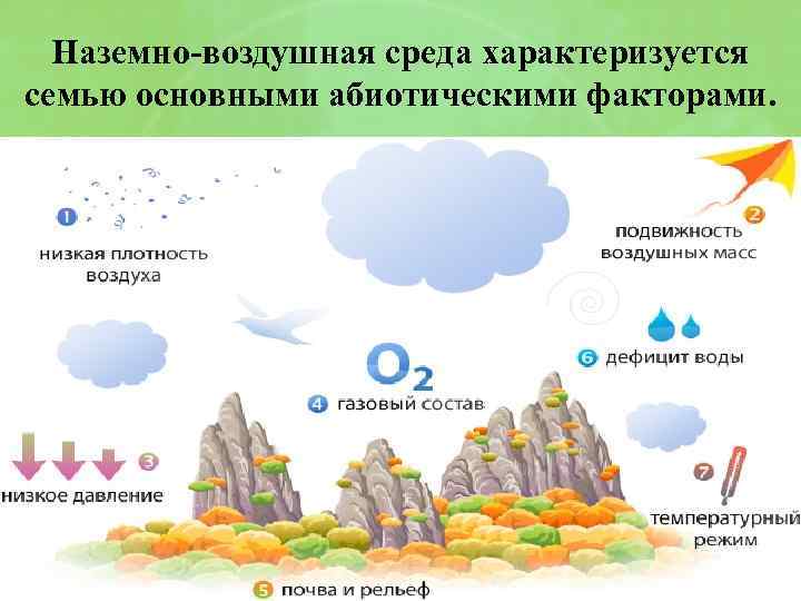 Наземно-воздушная среда характеризуется семью основными абиотическими факторами. 