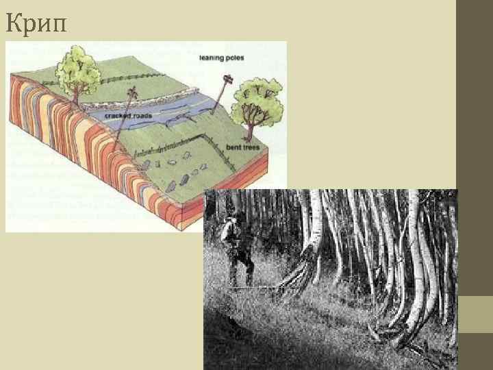 Паверкрип это. Крип Геология. Крип геоморфология. Солифлюкция формы рельефа. Крип геологический процесс.