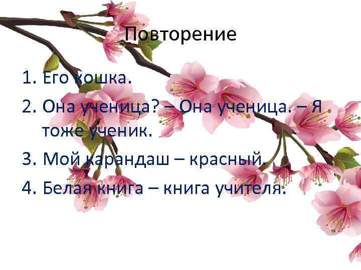 Повторение 1. Его кошка. 2. Она ученица? – Она ученица. – Я тоже ученик.