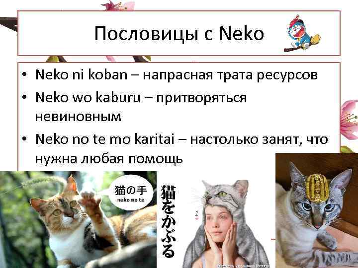 Пословицы с Neko • Neko ni koban – напрасная трата ресурсов • Neko wo