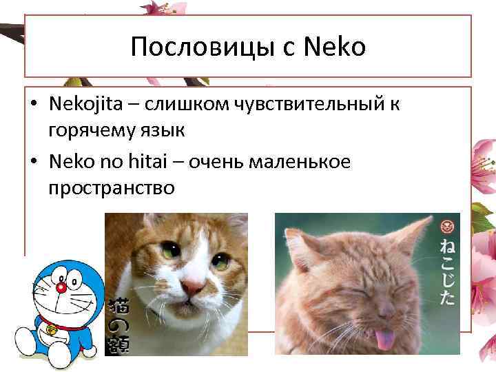 Пословицы с Neko • Nekojita – слишком чувствительный к горячему язык • Neko no