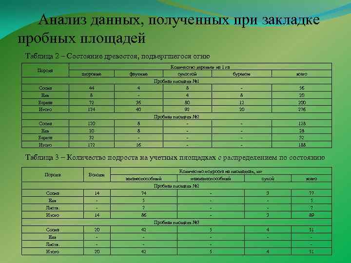 Анализ данных, полученных при закладке пробных площадей Таблица 2 – Состояние древостоя, подвергшегося огню