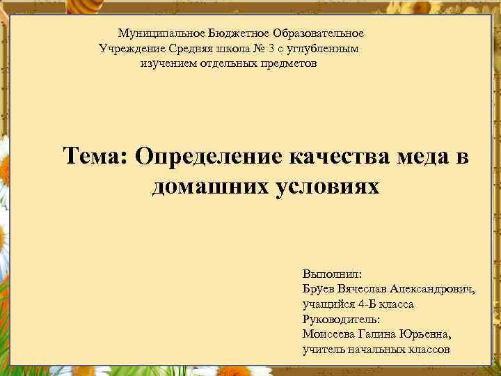 Муниципальное Бюджетное Образовательное Учреждение Средняя школа № 3 с углубленным изучением отдельных предметов Тема: