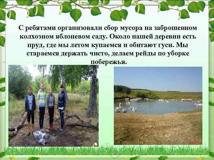 С ребятами организовали сбор мусора на заброшенном колхозном яблоневом саду. Около нашей деревни есть