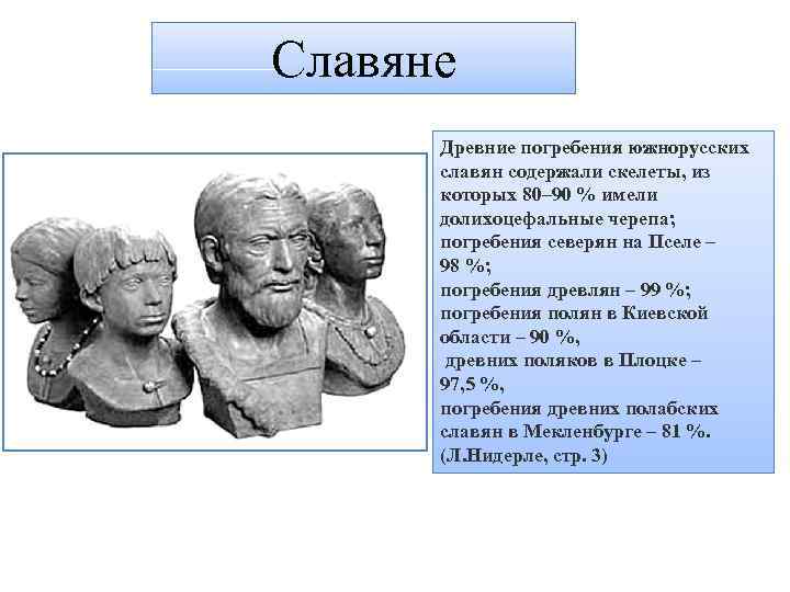 Славяне Древние погребения южнорусских славян содержали скелеты, из которых 80– 90 % имели долихоцефальные