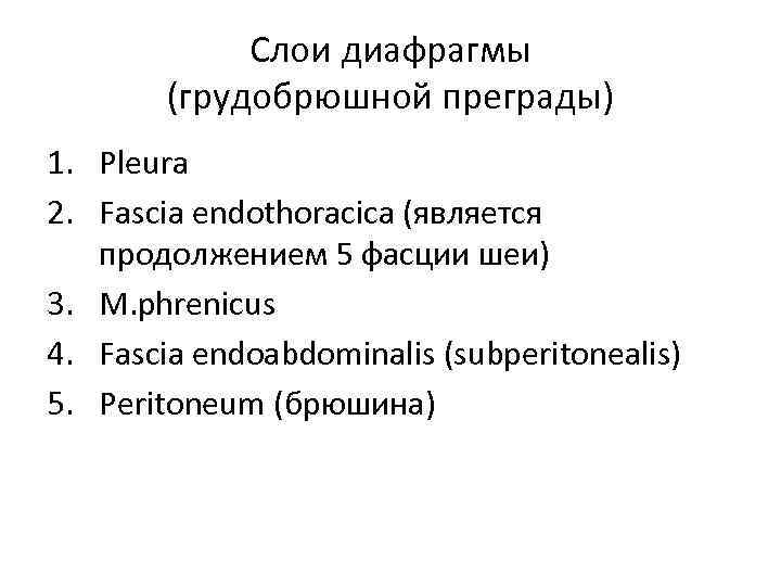 Слои диафрагмы (грудобрюшной преграды) 1. Pleura 2. Fascia endothoracica (является продолжением 5 фасции шеи)