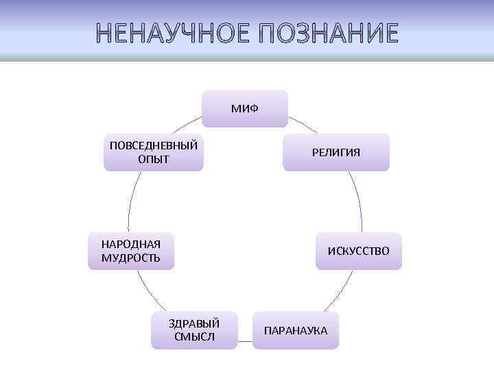 Мышление и познание виды познания