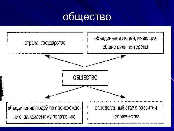 общество 