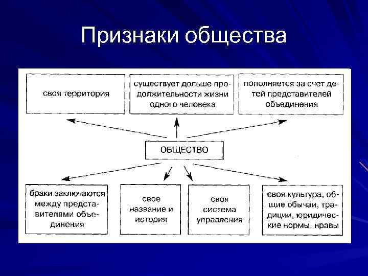 Перечисли основные общества