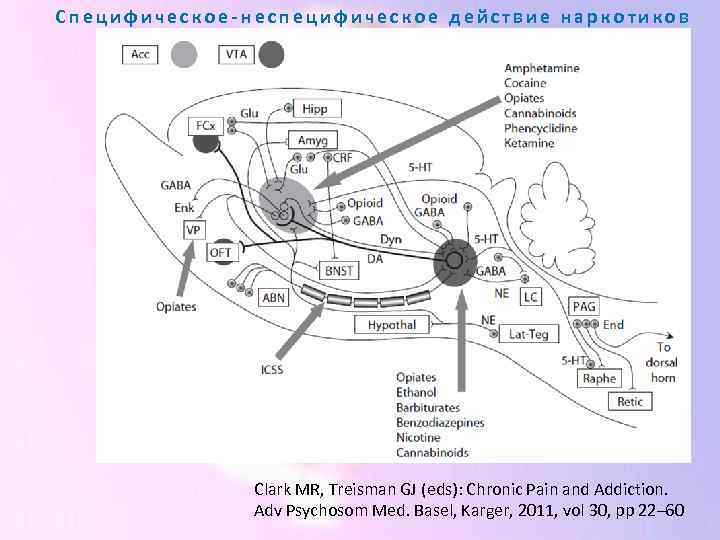 Специфическое-неспецифическое действие наркотиков Clark MR, Treisman GJ (eds): Chronic Pain and Addiction. Adv Psychosom