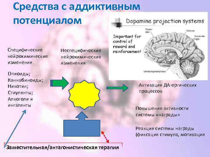 Средства с аддиктивным потенциалом Специфические нейрохимические изменения Неспецифические нейрохимические изменения Опиоиды; Каннабиноиды; Никотин; Стиулянты;