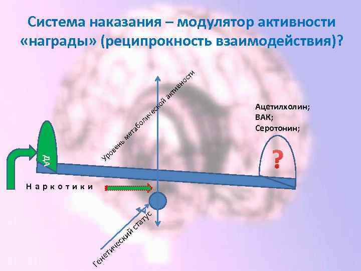 Система наказания – модулятор активности «награды» (реципрокность взаимодействия)? вн к ой а ь н