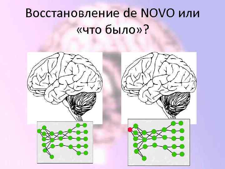 Восстановление de NOVO или «что было» ? 