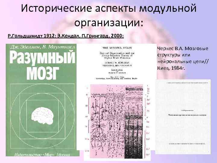 Исторические аспекты модульной организации: Р. Гольдшмидт 1912; Э. Кендал, П. Грингард, 2000; Черкес В.