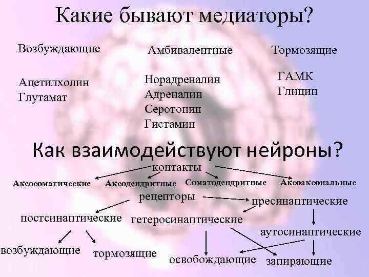 Какие бывают медиаторы? Возбуждающие Амбивалентные Ацетилхолин Глутамат Норадреналин Адреналин Серотонин Гистамин Тормозящие ГАМК Глицин