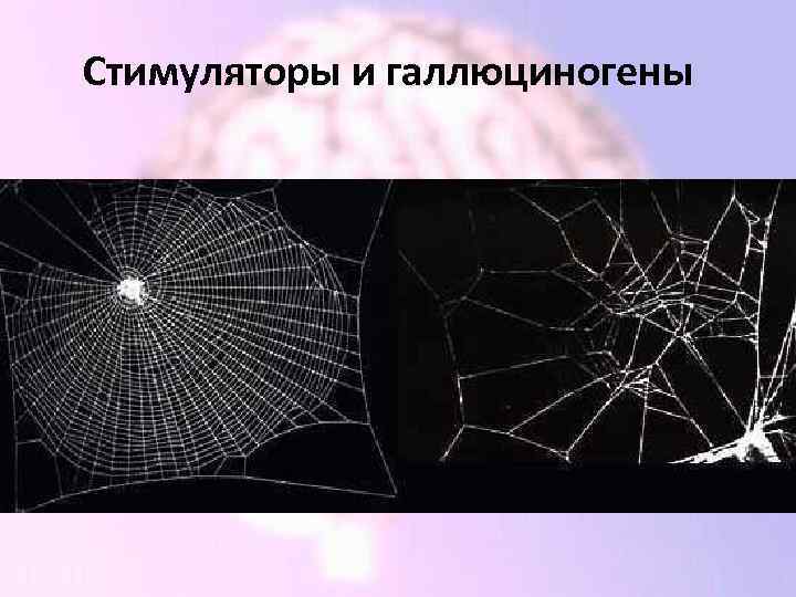 Стимуляторы и галлюциногены 