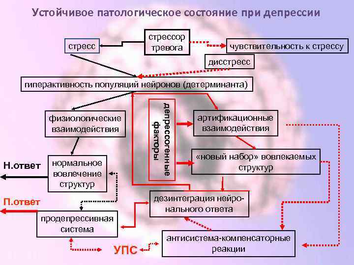 Устойчивое патологическое состояние при депрессии стрессор тревога стресс чувствительность к стрессу дисстресс гиперактивность популяций