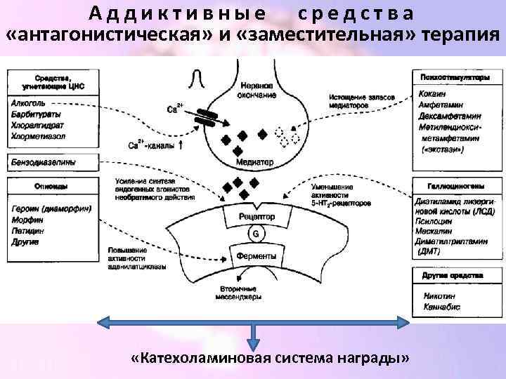 Аддиктивные средства «антагонистическая» и «заместительная» терапия «Катехоламиновая система награды» 