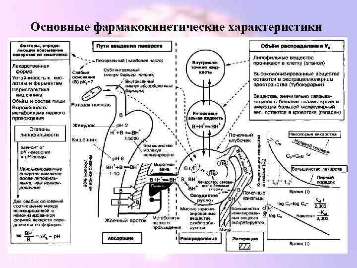 Основные фармакокинетические характеристики 