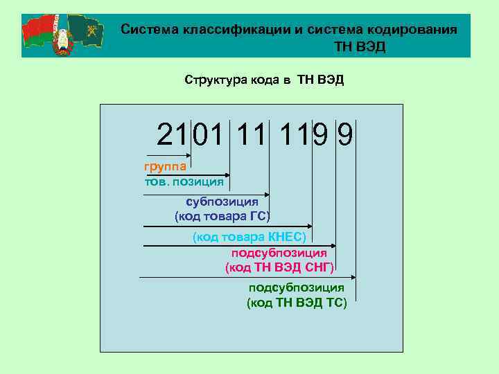 Система классификации и система кодирования ТН ВЭД Структура кода в ТН ВЭД 2101 11