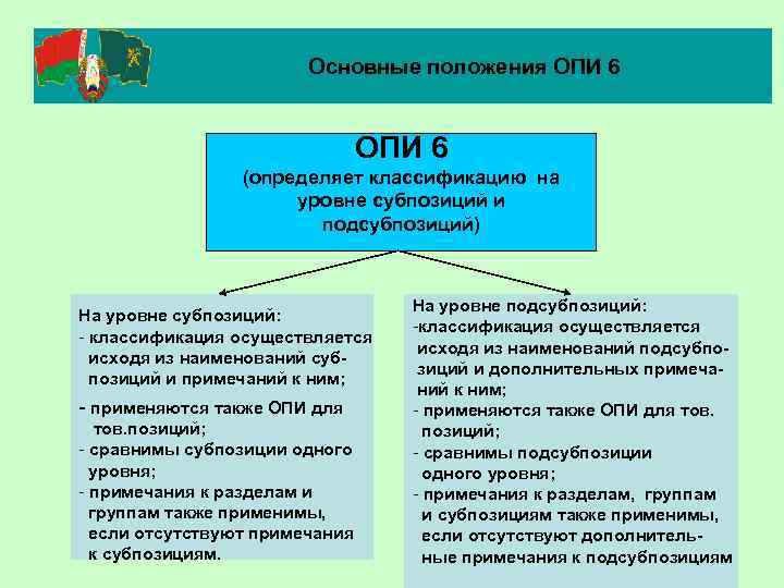 Основные положения ОПИ 6 (определяет классификацию на уровне субпозиций и подсубпозиций) На уровне субпозиций: