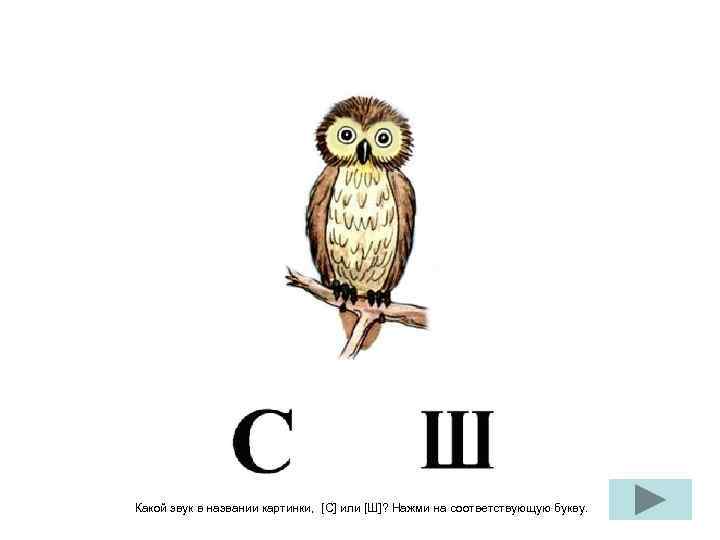 Какой звук в названии картинки, [С] или [Ш]? Нажми на соответствующую букву. 