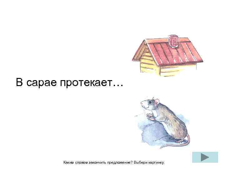 В сарае протекает… Каким словом закончить предложение? Выбери картинку. 