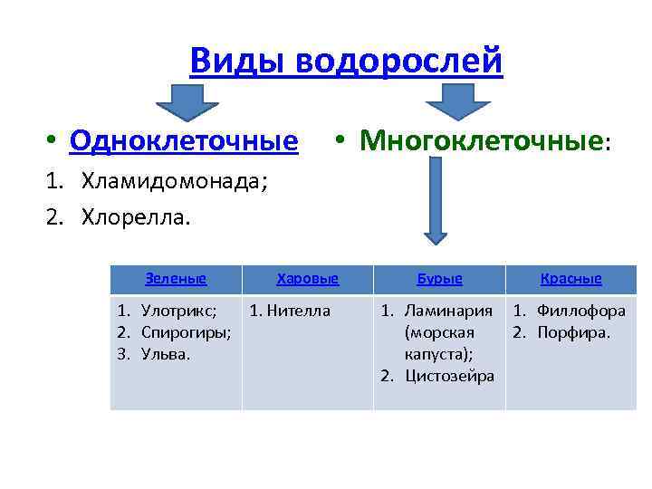 Виды водорослей • Одноклеточные • Многоклеточные: 1. Хламидомонада; 2. Хлорелла. Зеленые Харовые 1. Улотрикс;