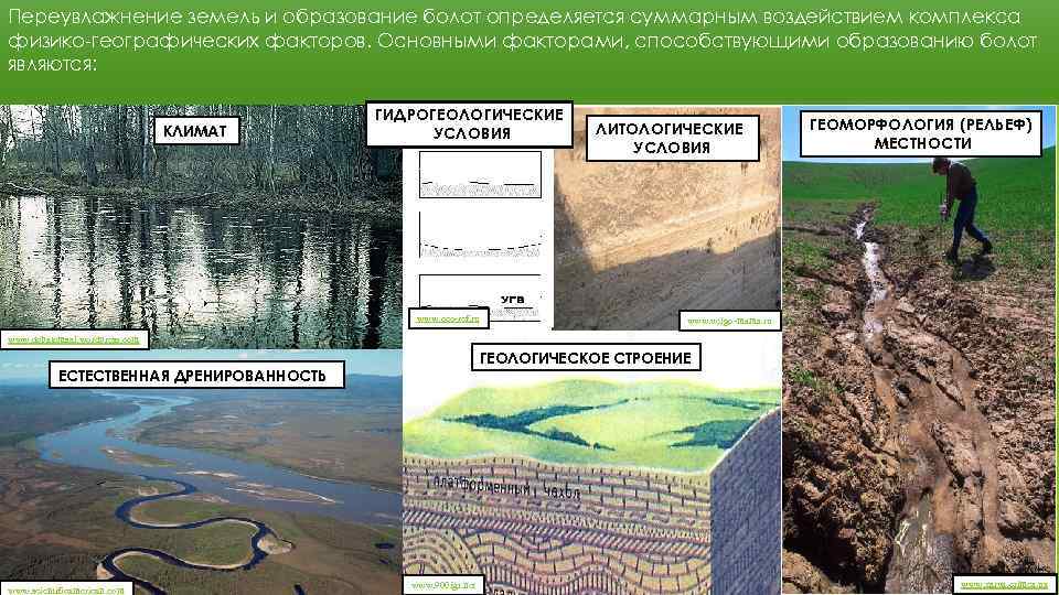 Причины образования болот. Причины заболачивания почв. Образование болот заболачивание. Причины заболачивания территорий. Естественная дренированность территории.