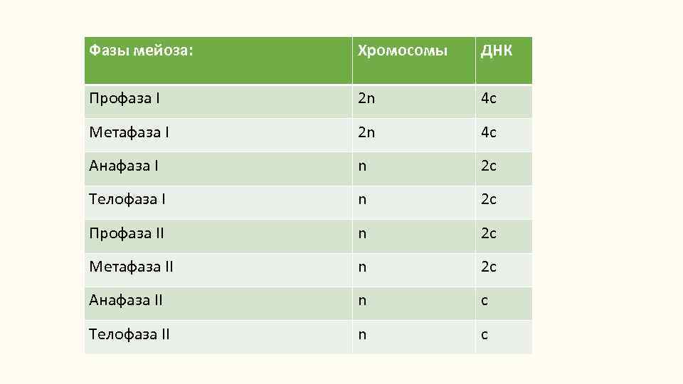 Фазы мейоза: Хромосомы ДНК Профаза I 2 n 4 c Метафаза I 2 n