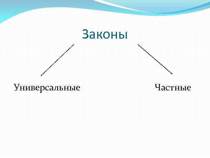 Законы Универсальные Частные 