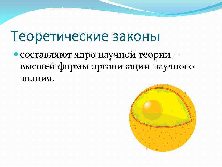 Теоретические законы составляют ядро научной теории – высшей формы организации научного знания. 