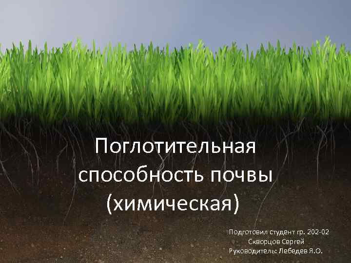 Поглотительная способность почвы (химическая) Подготовил студент гр. 202 -02 Скворцов Сергей Руководитель: Лебедев Я.