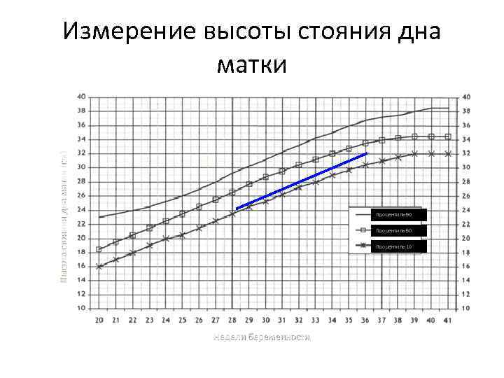 Высота стояния дна матки (см) Измерение высоты стояния дна матки Процентиль 90 Процентиль 50