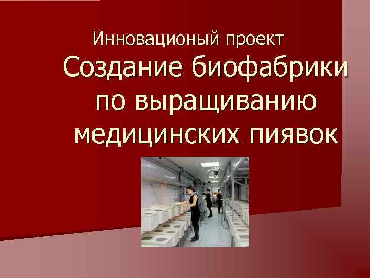 Инновационый проект Создание биофабрики по выращиванию медицинских пиявок 