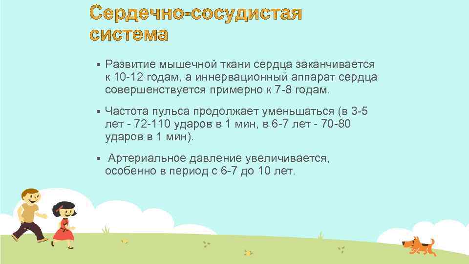 § Развитие мышечной ткани сердца заканчивается к 10 -12 годам, а иннервационный аппарат сердца