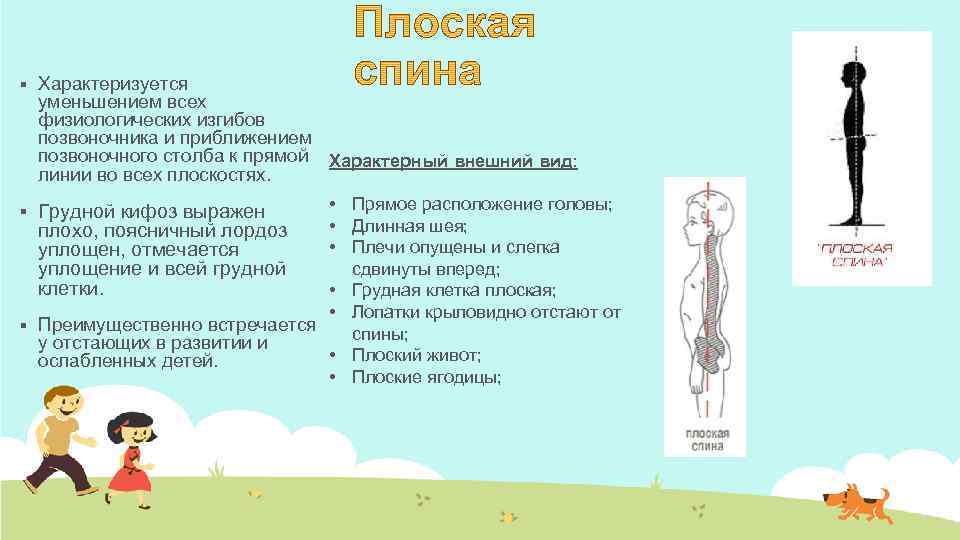 § Характеризуется уменьшением всех физиологических изгибов позвоночника и приближением позвоночного столба к прямой Характерный