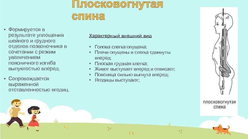 § § Формируется в результате уплощения шейного и грудного отделов позвоночника в сочетании с