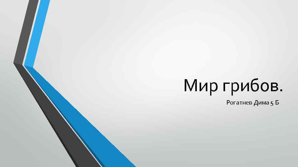 Мир грибов. Рогатнев Дима 5 Б 