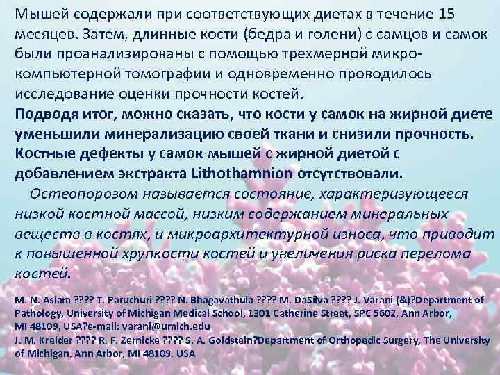 Мышей содержали при соответствующих диетах в течение 15 месяцев. Затем, длинные кости (бедра и