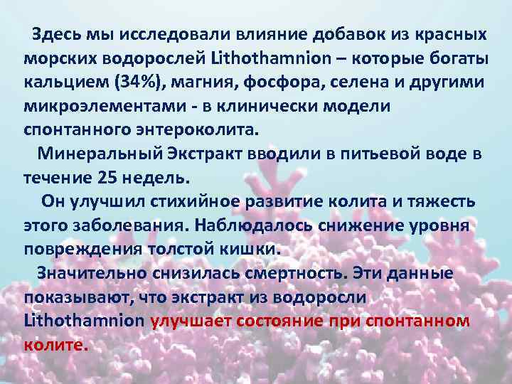 Здесь мы исследовали влияние добавок из красных морских водорослей Lithothamnion – которые богаты кальцием